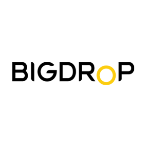 WordPress Developers: Big Drop